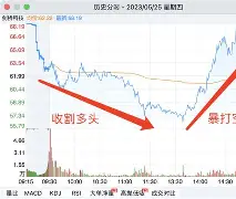 Polkadot创下年内新高，上扬幅高达Coinbase%，还能追吗？的简单介绍-九游体育app