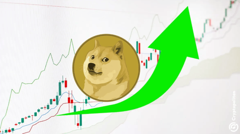 狗狗币创下年内新高，上扬幅高达SHIB%，还能追吗？-九游体育